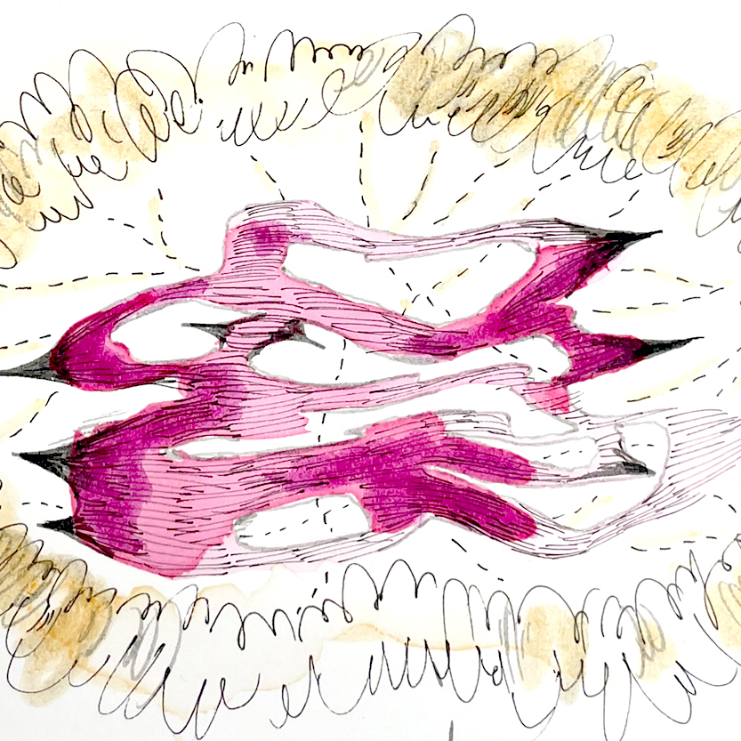 Slide 6